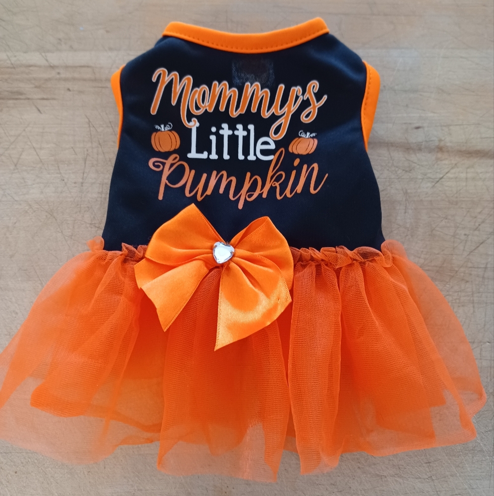 Dog Halloween Outfit XS